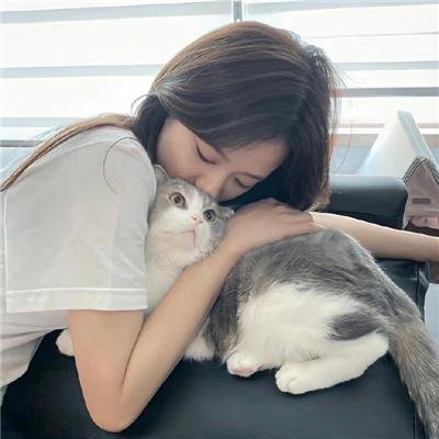 失忆的总理大臣